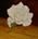tn_Rosa sul tavolo 60x60